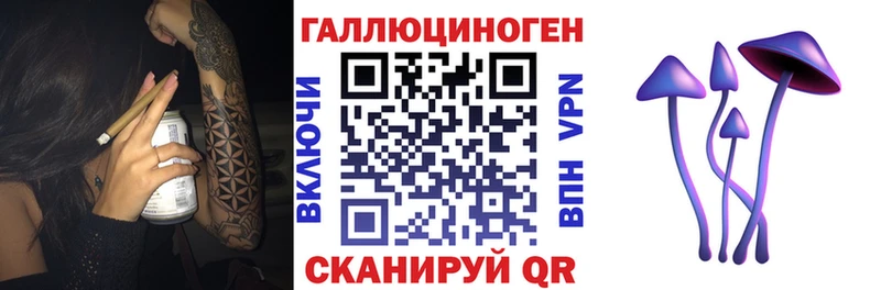 Псилоцибиновые грибы Psilocybe  Нолинск 